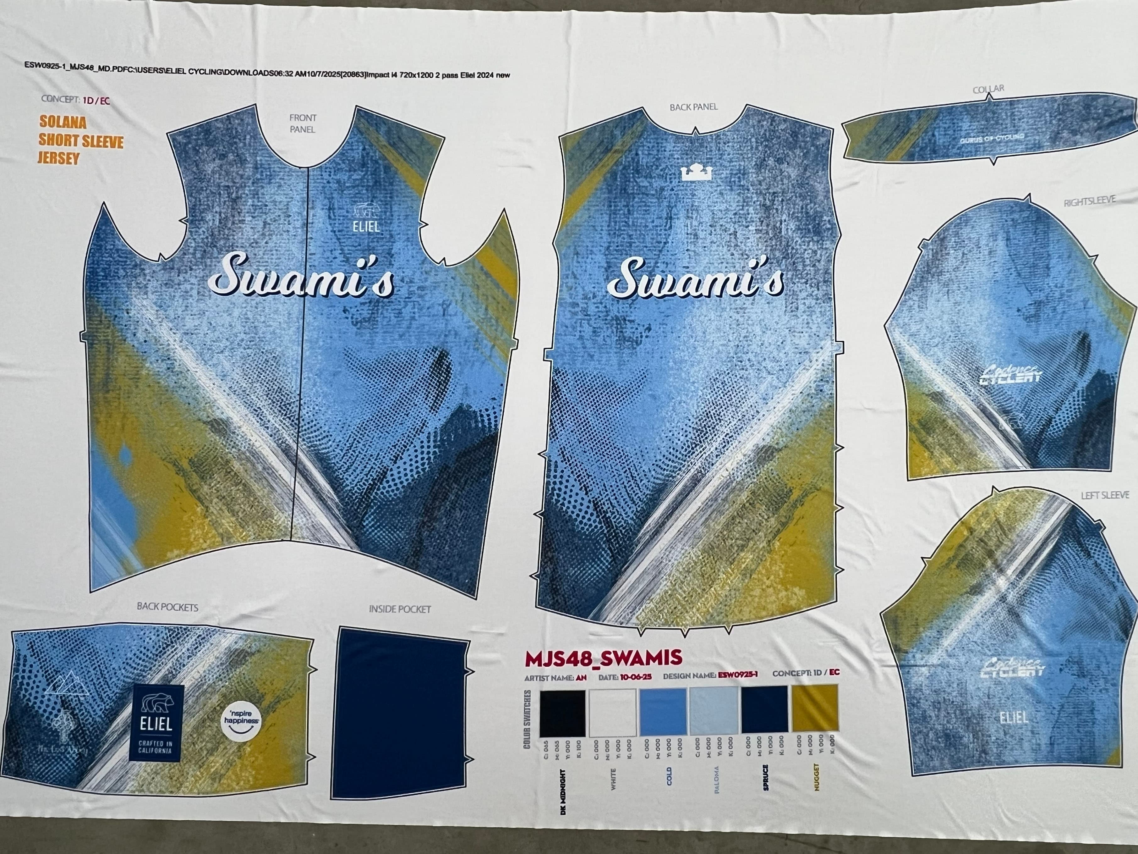 Swami’s main design / fabric test print